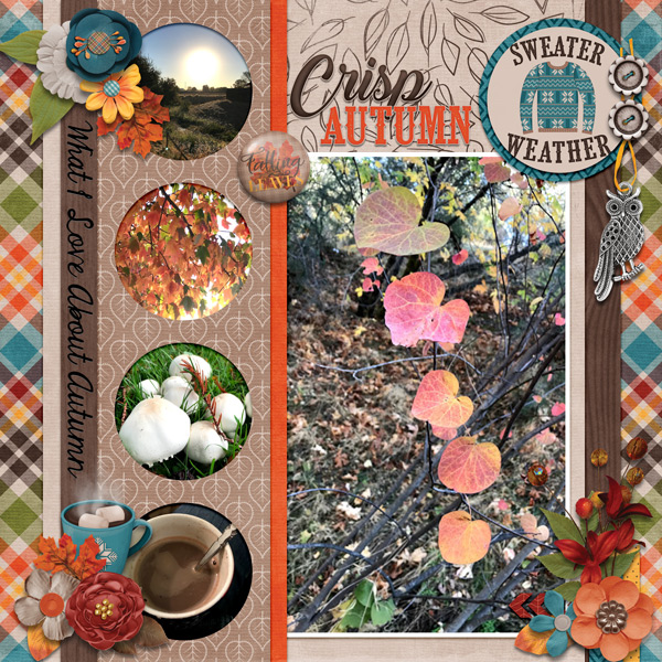what I love about Autumn