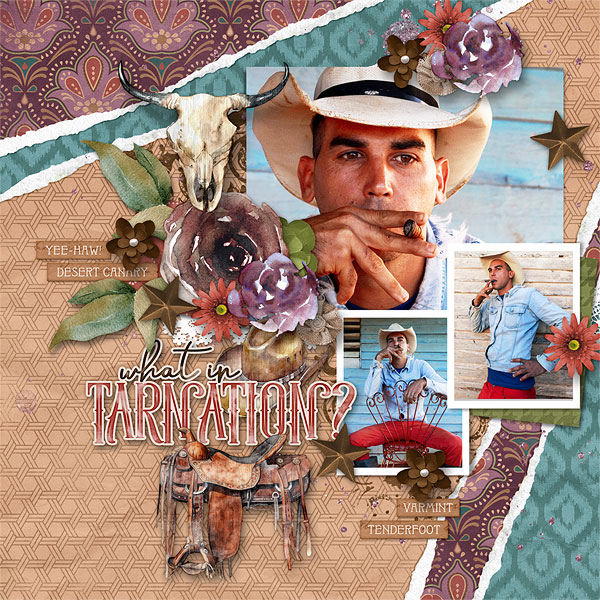 What in Tarnation?