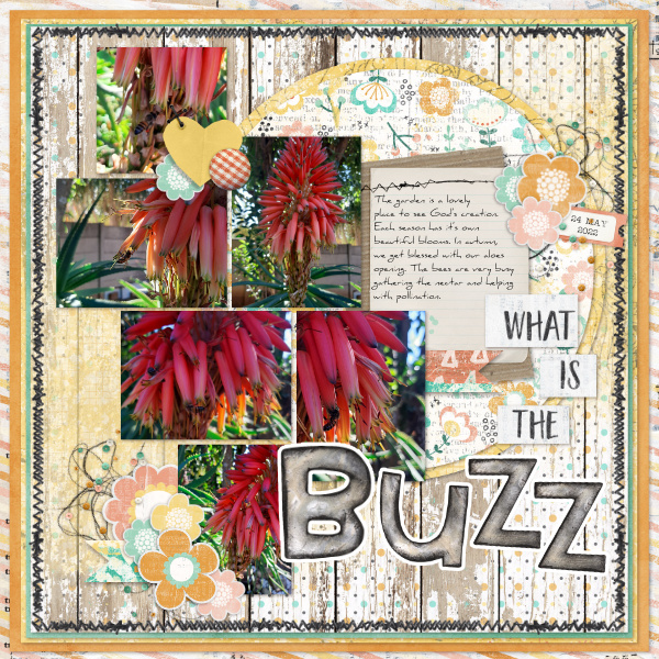 What Is The Buzz