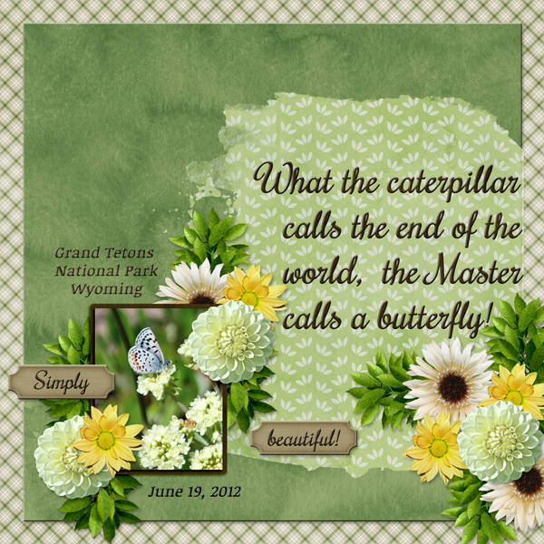 What the caterpillar calls the end of the world ...