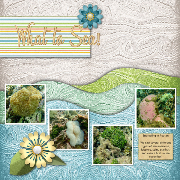 What to Sea - snorkeling in Roatan