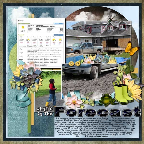 What's in the forecast
