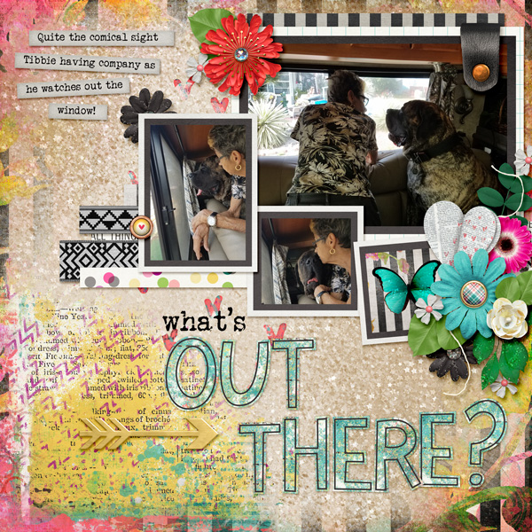 Whats out there