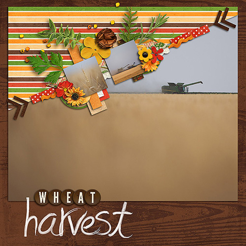 Wheat Harvest