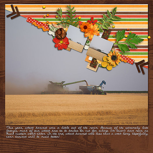 Wheat Harvest