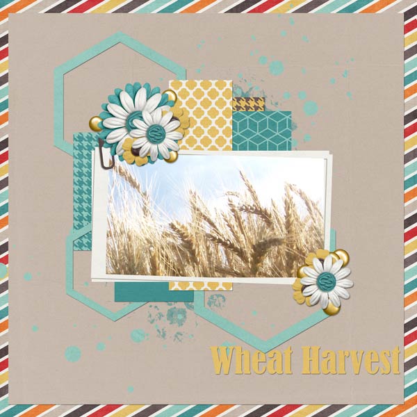 Wheat Harvest