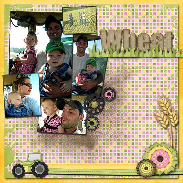 Wheat Harvest