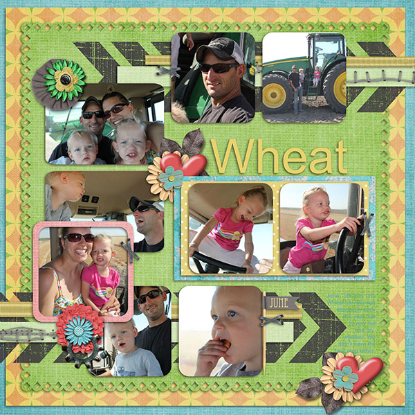 Wheat Harvest