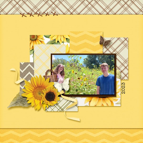 Wheeler Farm_TSK_SunflowersWEB.jpg
