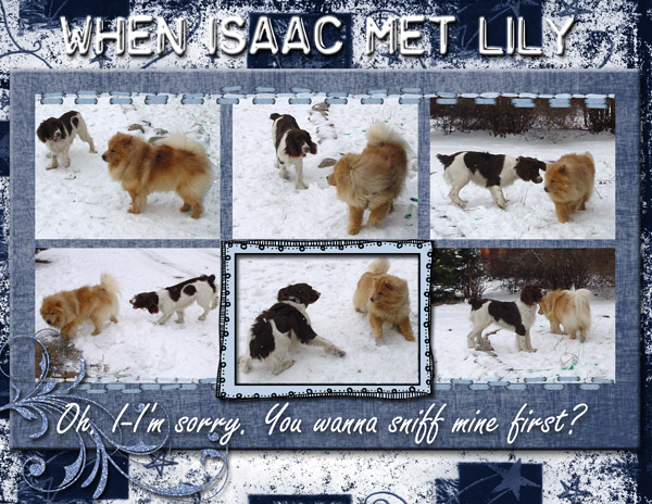 When Issac met Lily