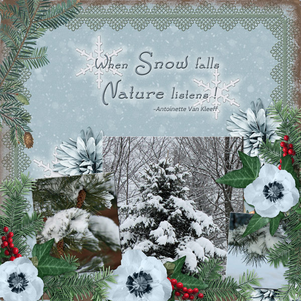 When Snow falls Nature listens!