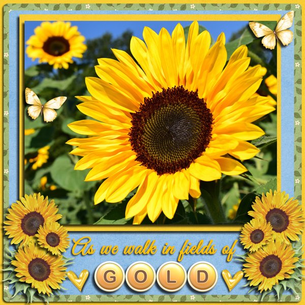 When We Walked In Fields Of Gold