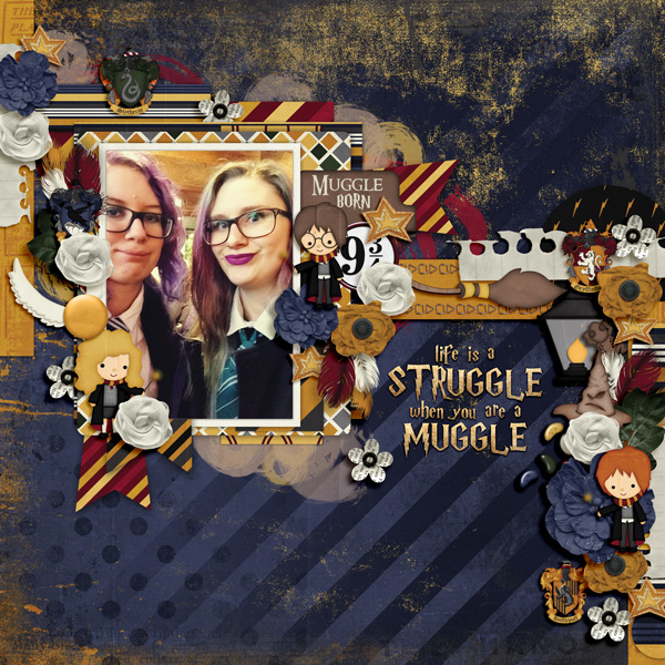 When you are a muggle...