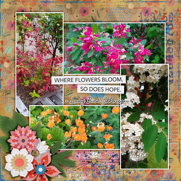 Where-flowers-bloom.jpg