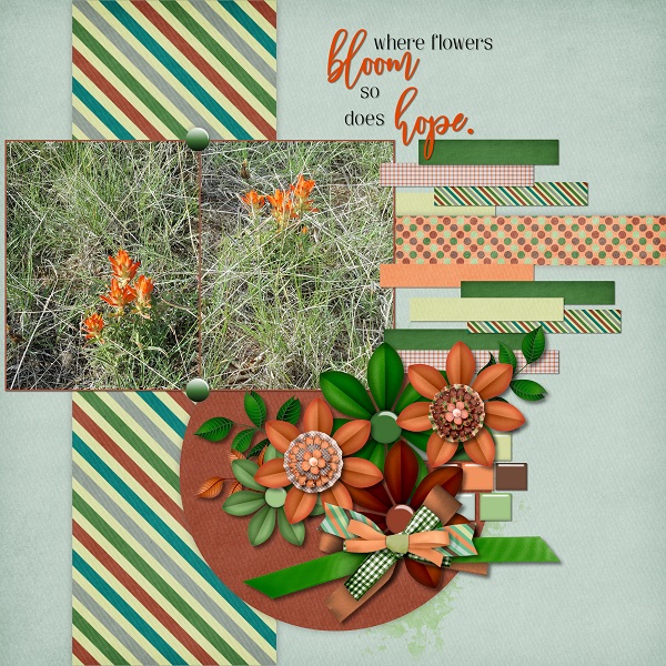 Where Flowers Bloom