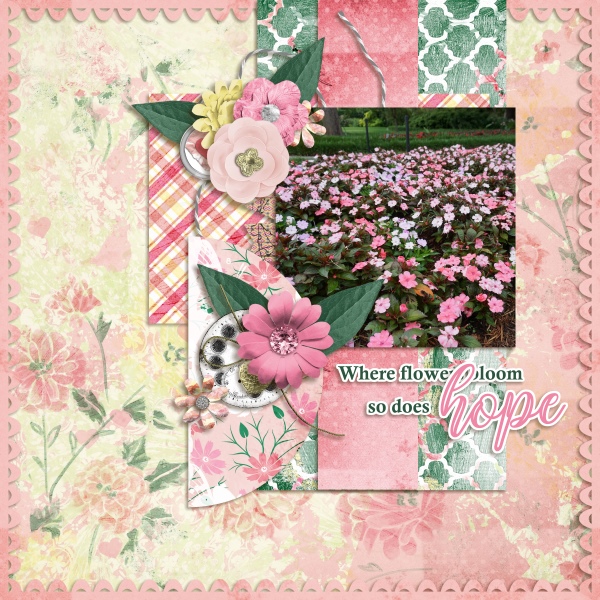 Where flowers bloom