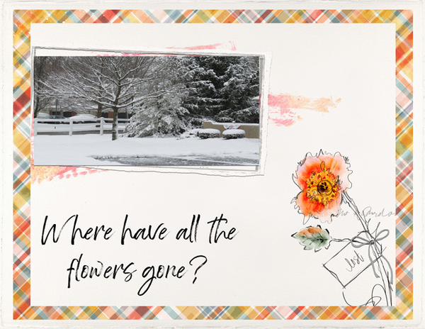 Where Have All The Flowers Gone