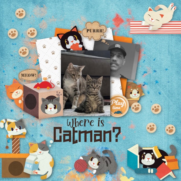 Where Is Catman?