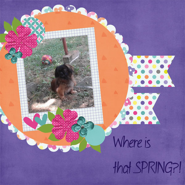 Where is spring?