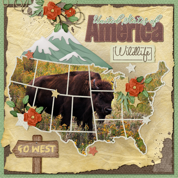 Where the Buffalo Roam