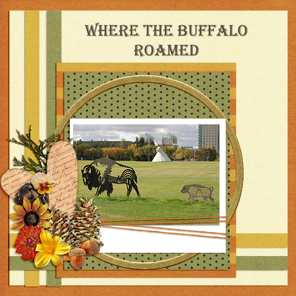 Where the Buffalo Roamed