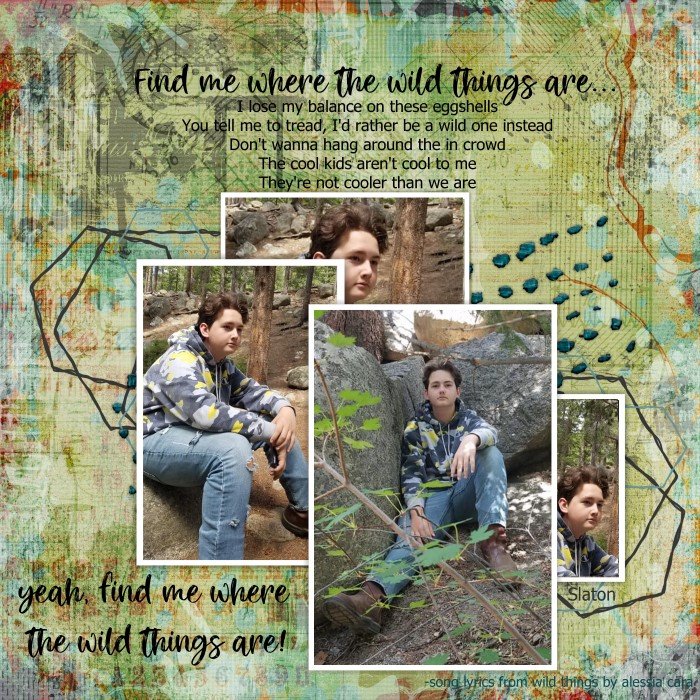 Where the Wild Things Are