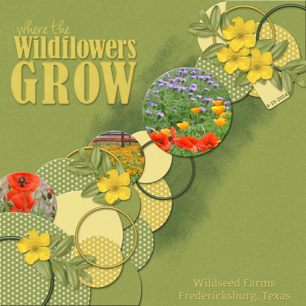 Where the Wildflowers Grow