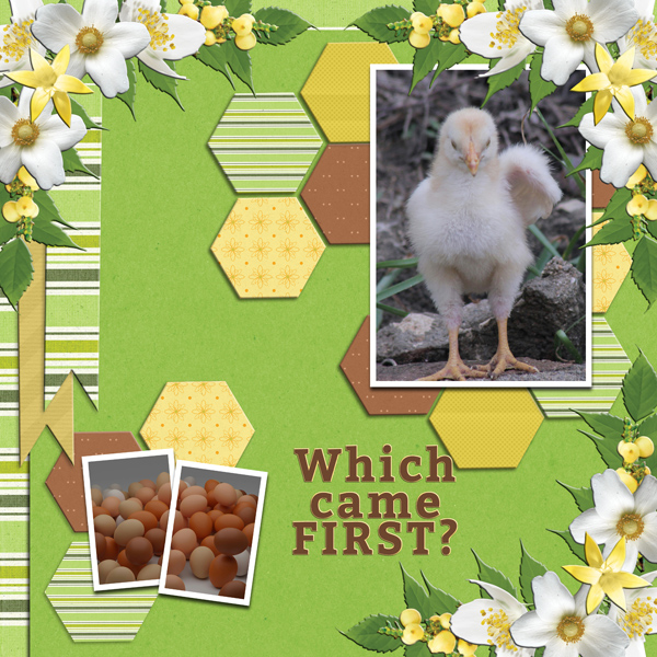 Which came FIRST?
