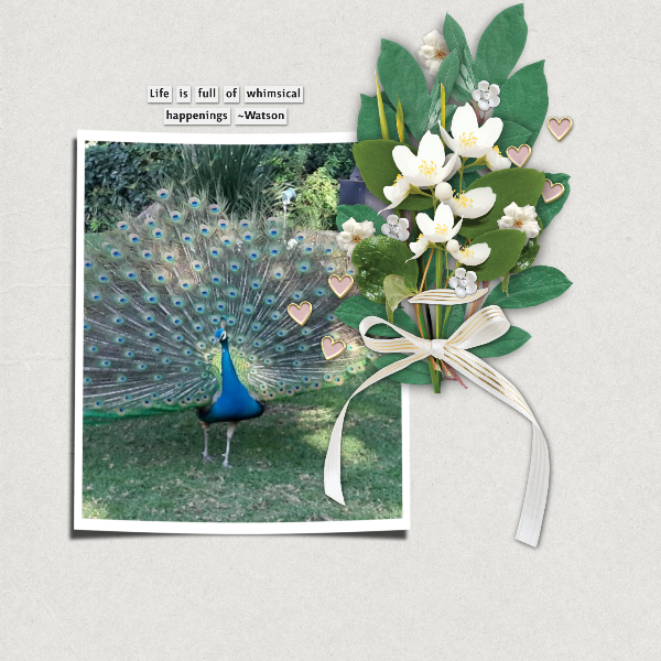 Whimsical