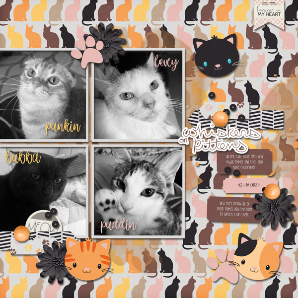 Whiskers on Kittens