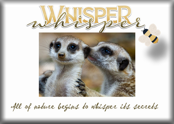 Whisper