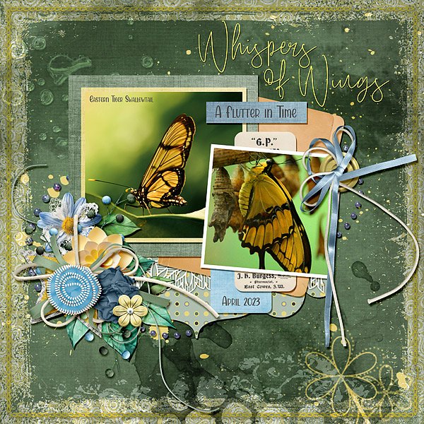 Whispers of Wings