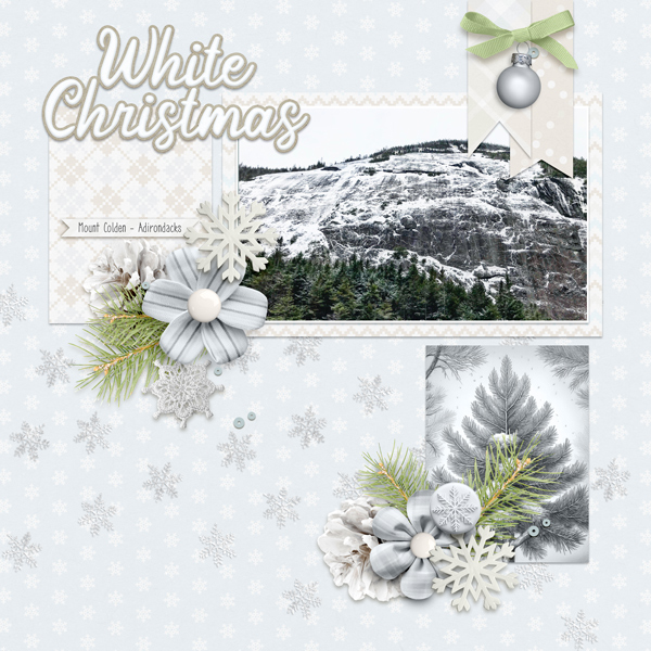 White Christmas 2024 ADKs