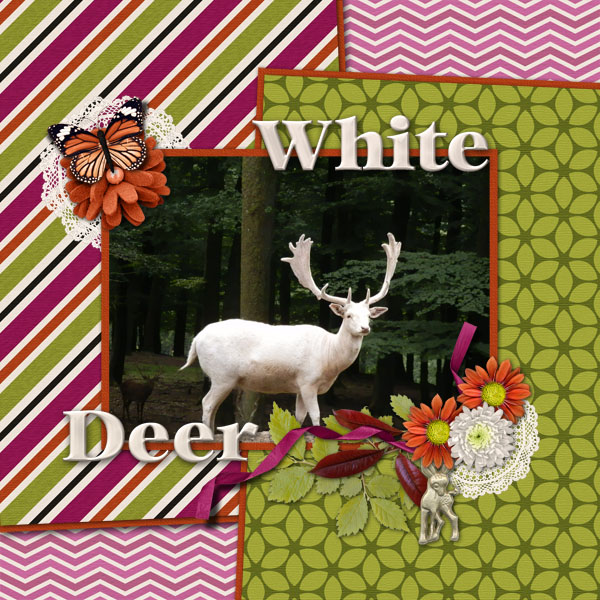 White Deer