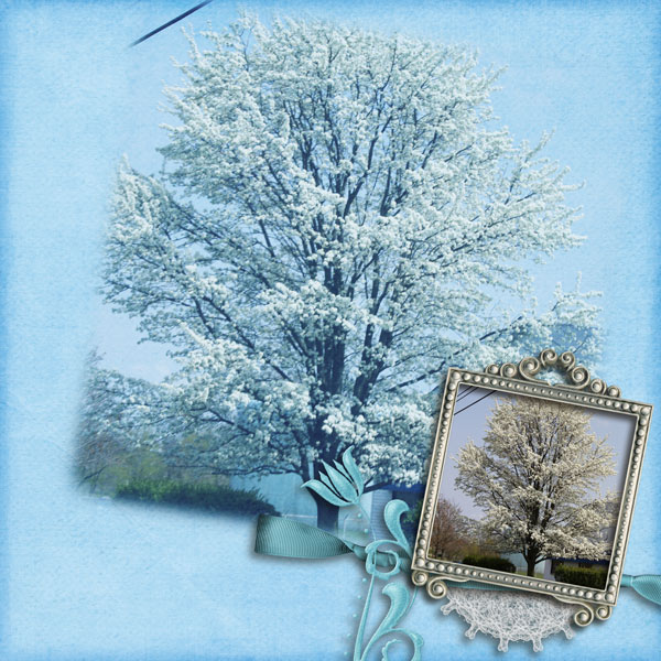white dogwood