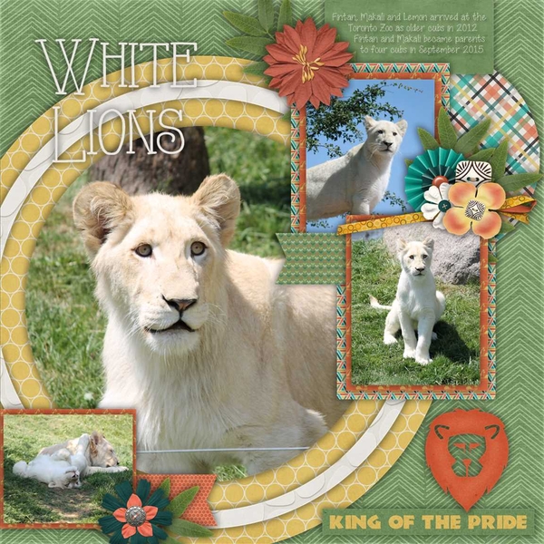 White Lions