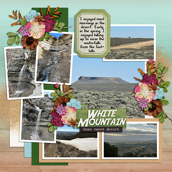 White mountain Hikes page 1