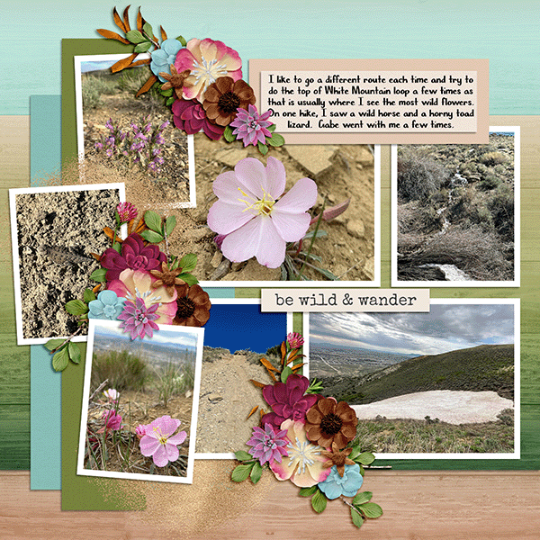 White Mountain hikes page 2