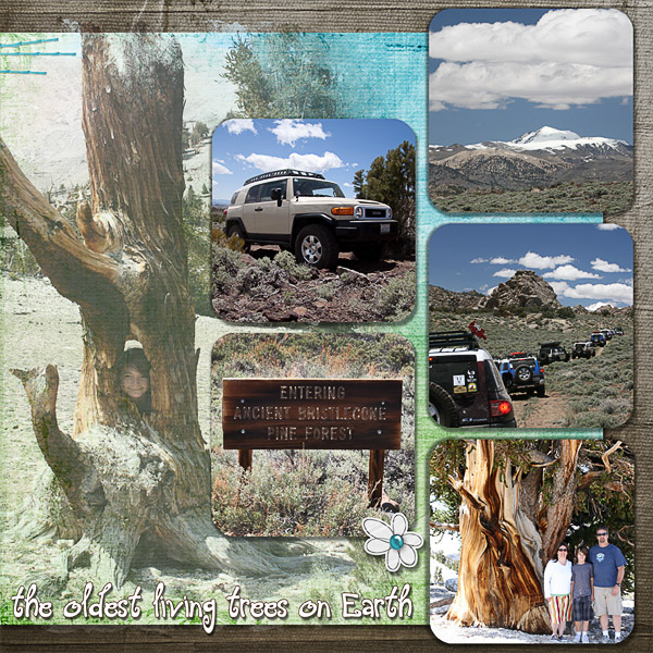White Mountains page 2