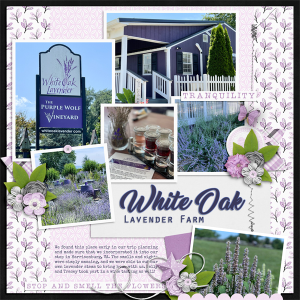 White Oak Lavender Farm