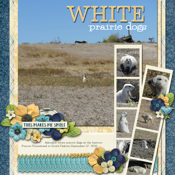White Prairie Dogs