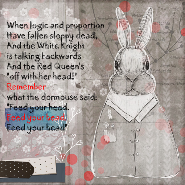 White Rabbit