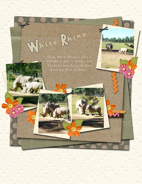 White Rhino