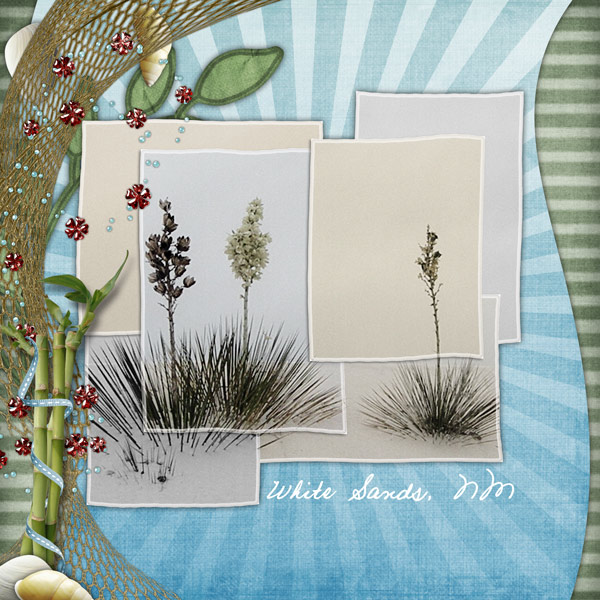 White Sands Survivor Wk1