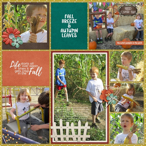 Whites Country Farm