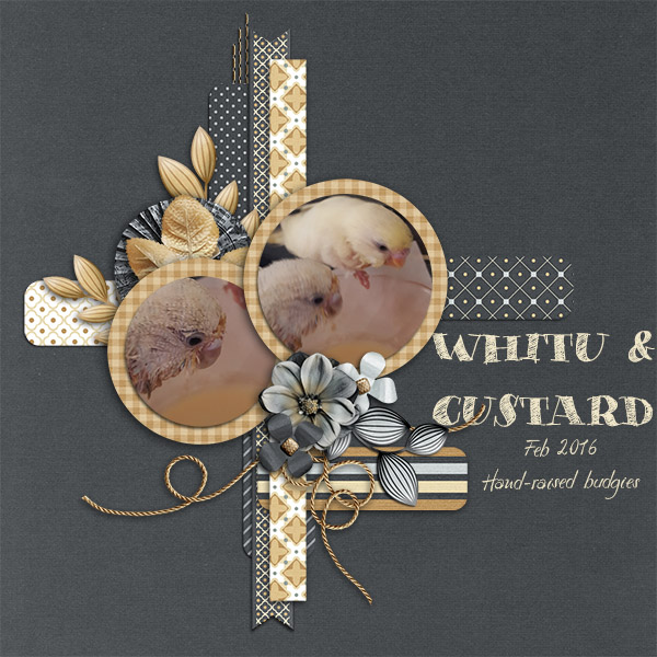 Whitu + Custard