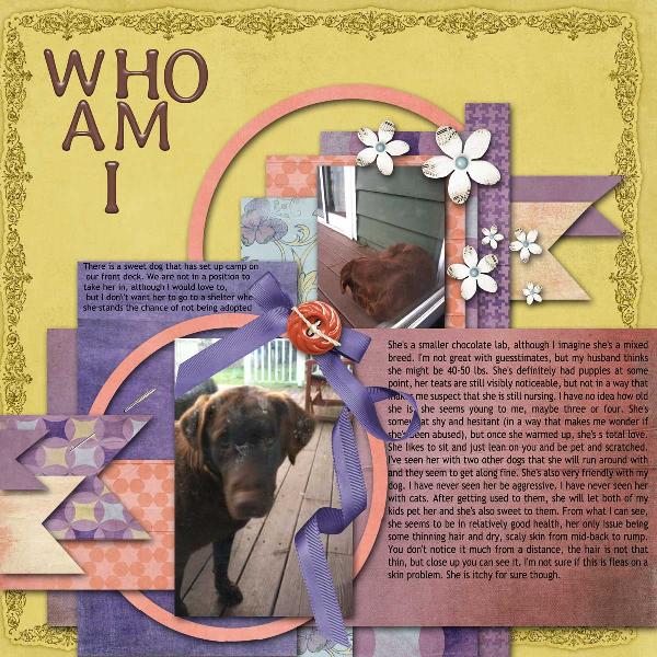 who am I _choc lab needs a name