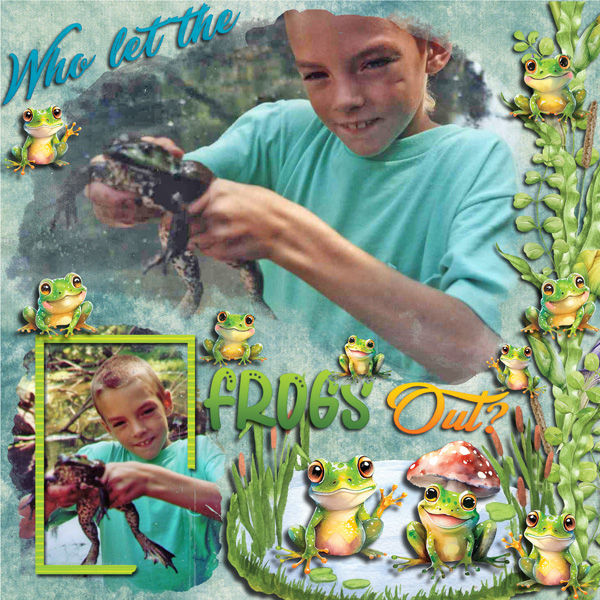 Who Let The Frogs Out