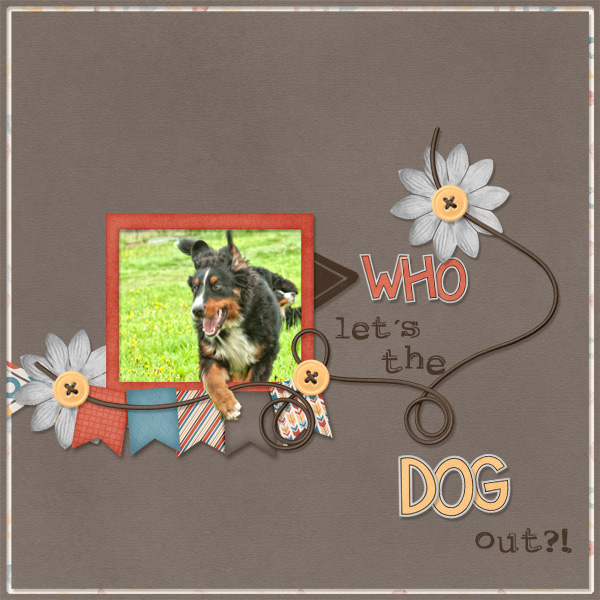 Who lets the dog out