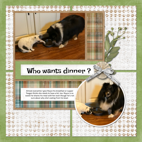 Who Wants Dinner?